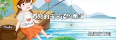 煮熟的玉米能钓鱼吗