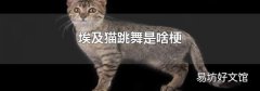 埃及猫跳舞是啥梗