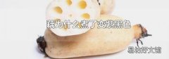 藕为什么煮了变紫黑色