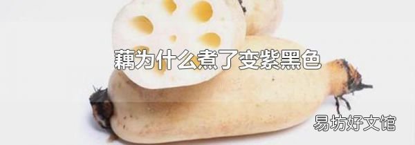 藕為什么煮了變紫黑色
