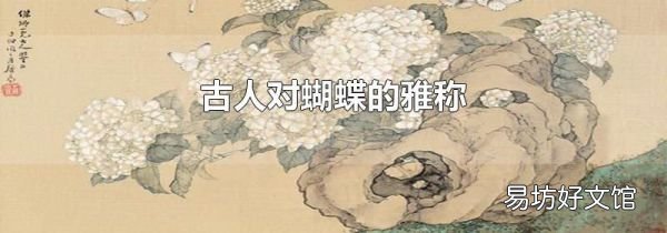古人對蝴蝶的雅稱