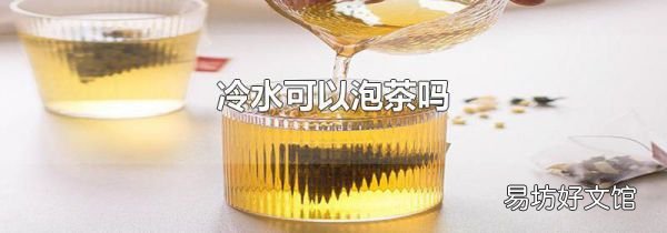 冷水可以泡茶吗