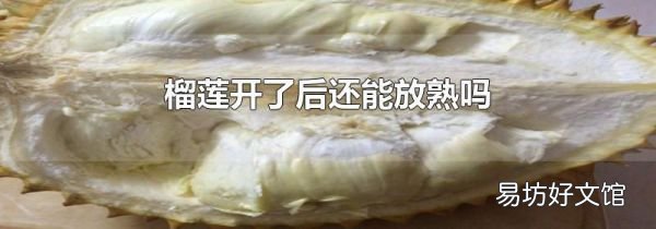 榴蓮開(kāi)了后還能放熟嗎