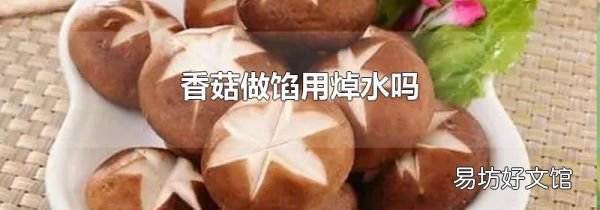 香菇做餡用焯水嗎
