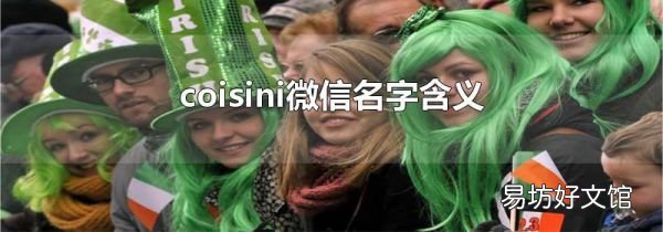 coisini微信名字含义