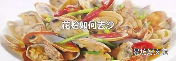 花蛤如何去沙