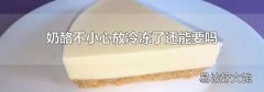 奶酪不小心放冷冻了还能要吗