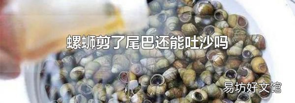螺螄剪了尾巴還能吐沙嗎