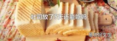 吐司放了5天还能吃吗