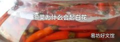 泡菜为什么会起白花