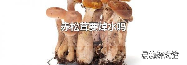 赤松茸要焯水吗