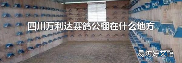 四川萬利達(dá)賽鴿公棚在什么地方