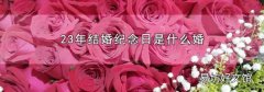 23年结婚纪念日是什么婚