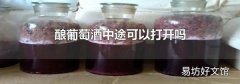 酿葡萄酒中途可以打开吗