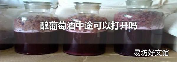 釀葡萄酒中途可以打開嗎