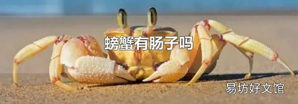 螃蟹有肠子吗