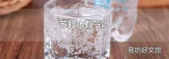 苏打水有气吗