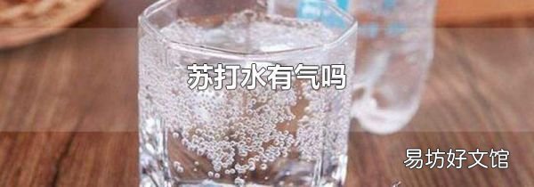 苏打水有气吗