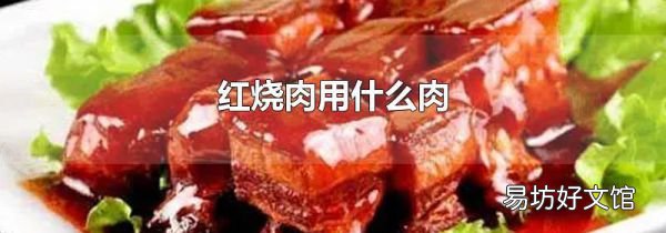红烧肉用什么肉