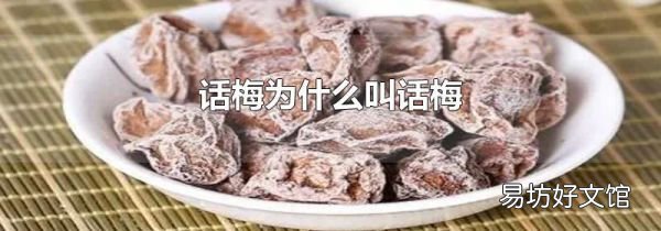 话梅为什么叫话梅