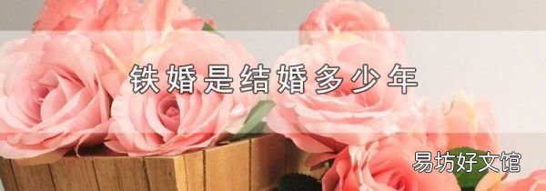 铁婚是结婚多少年