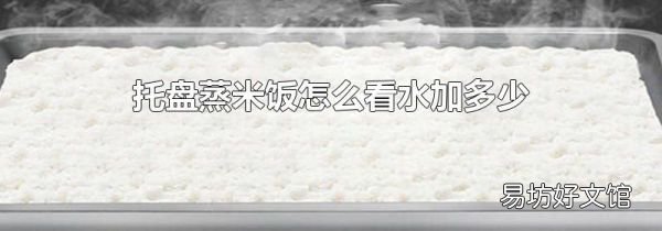 托盘蒸米饭怎么看水加多少