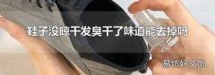 鞋子没晾干发臭干了味道能去掉吗