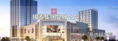银泰集团是什么企业