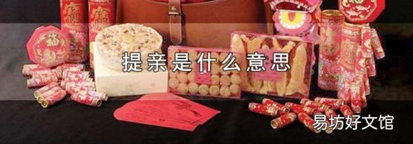 提亲是什么意思