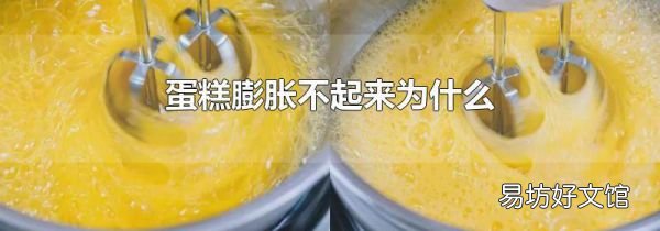 蛋糕膨胀不起来为什么