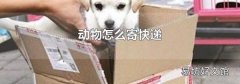 动物怎么寄快递