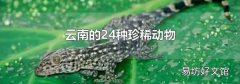 云南的24种珍稀动物
