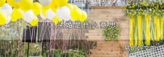 二头婚是什么意思