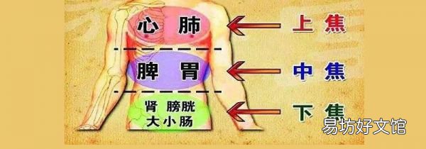 下焦是哪个位置