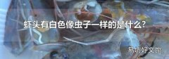 虾头有白色像虫子一样的是什么?