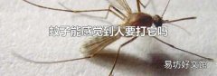 蚊子能感觉到人要打它吗