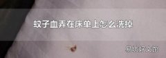 蚊子血弄在床单上怎么洗掉