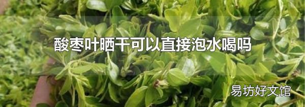 酸枣叶晒干可以直接泡水喝吗