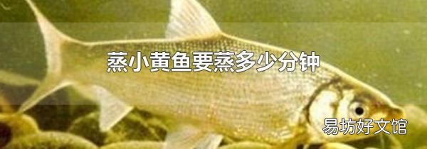 蒸小黄鱼要蒸多少分钟