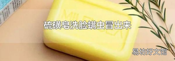 硫磺皂洗脸螨虫冒出来