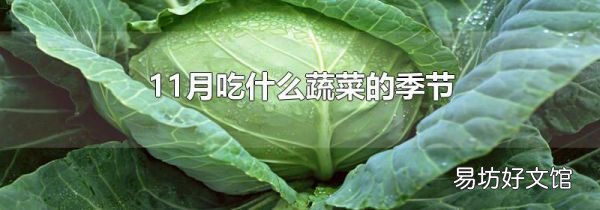 11月吃什么蔬菜的季节