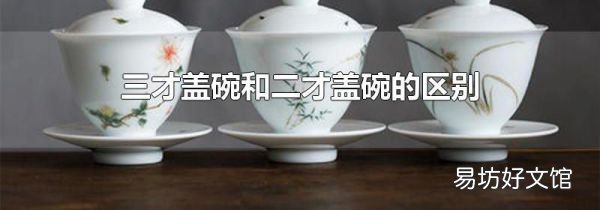 三才盖碗和二才盖碗的区别