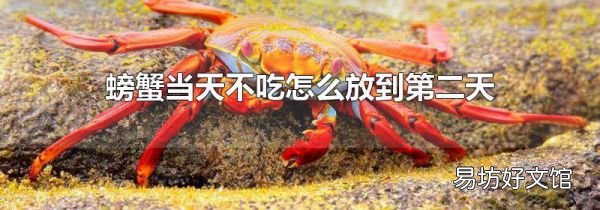 螃蟹當(dāng)天不吃怎么放到第二天