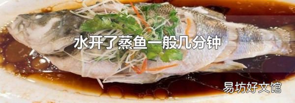 水開(kāi)了蒸魚(yú)一般幾分鐘