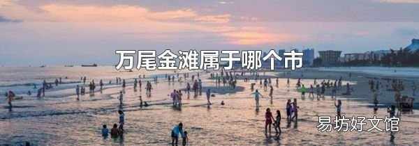 万尾金滩属于哪个市