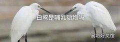 白鹭是哺乳动物吗