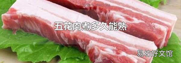 五花肉煮多久能熟