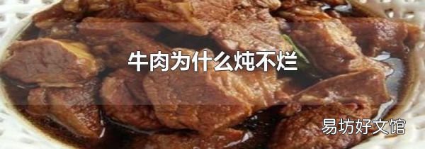 牛肉为什么炖不烂