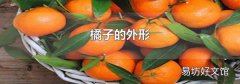 橘子的外形