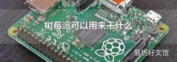 树莓派可以用来干什么